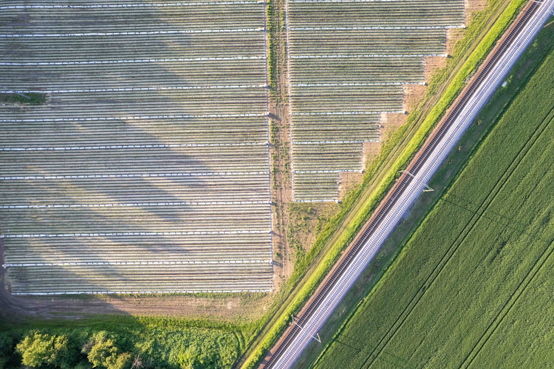 Biodegradable plant-based packaging film